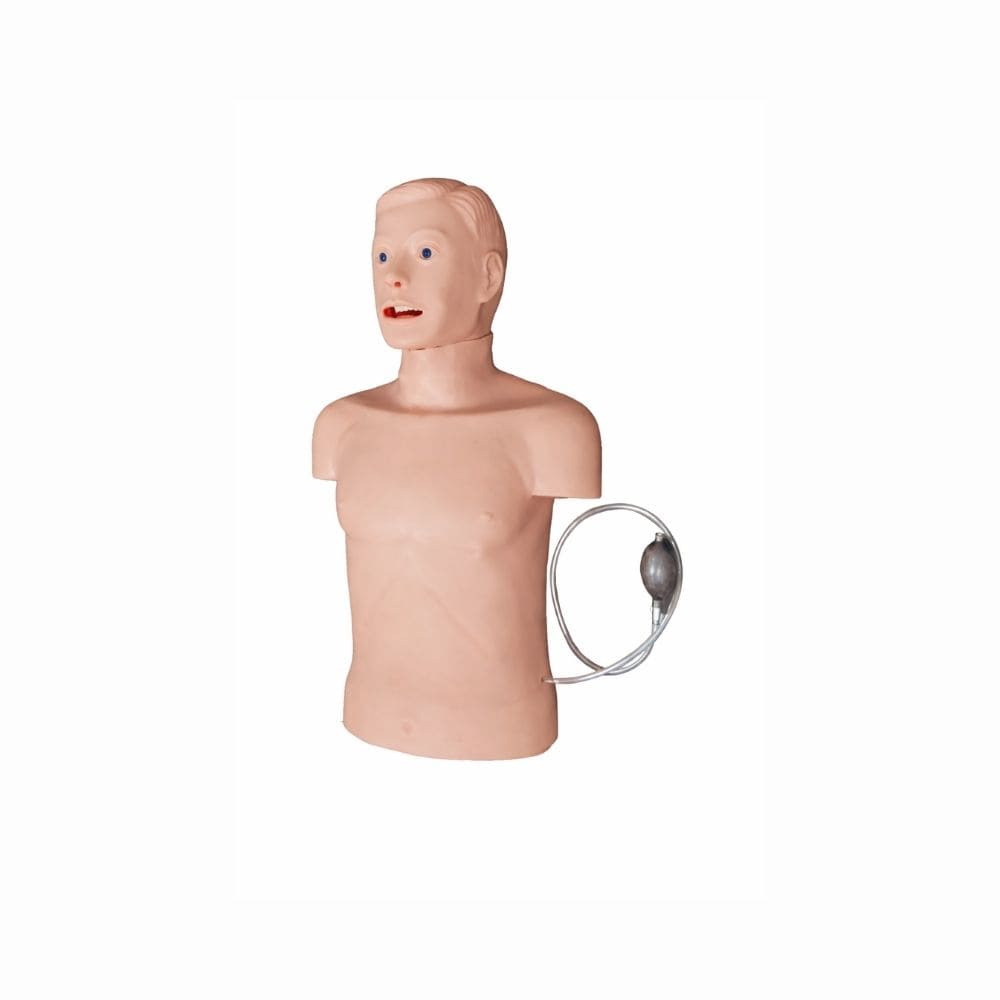 MANIQUI DE INTUBACIÓN ADULTO IMP